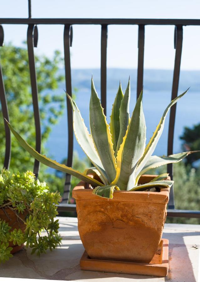 Villa Anima, Stanici, Near Omis Εξωτερικό φωτογραφία